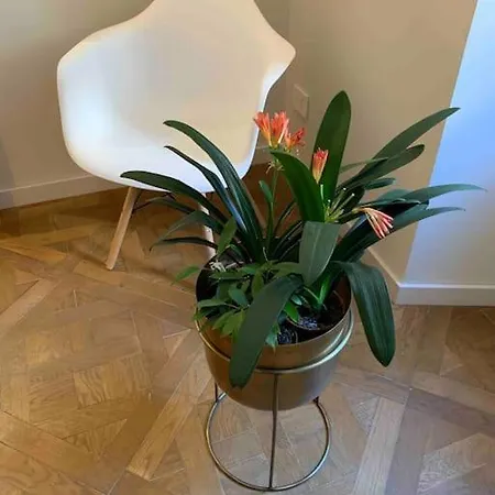 Piazzetta - Casa Cossere Casa de Férias